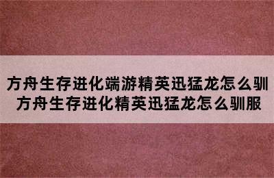 方舟生存进化端游精英迅猛龙怎么驯 方舟生存进化精英迅猛龙怎么驯服